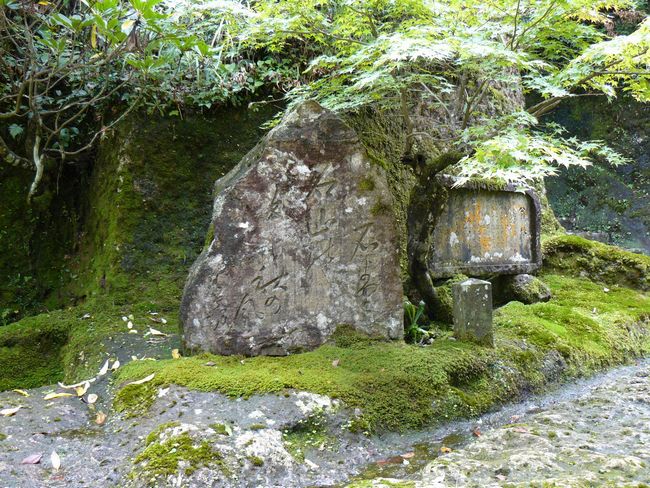 �ߒJ���E�m�ԋ��