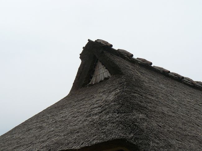 �����ƏZ��