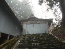 伊須流岐比古神社石段から見上げた本殿