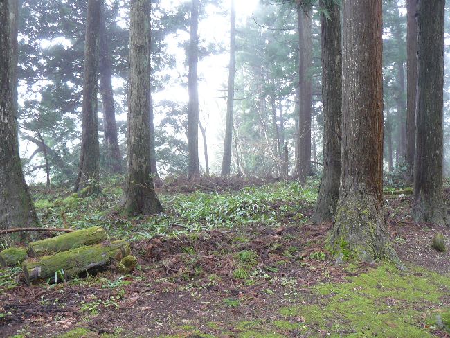 �ɐ{�����Ð_��