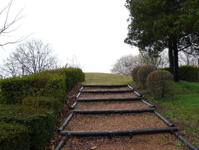 ����R���