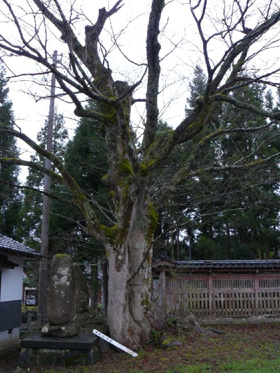 ���R�_��