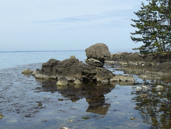 ���H�C��