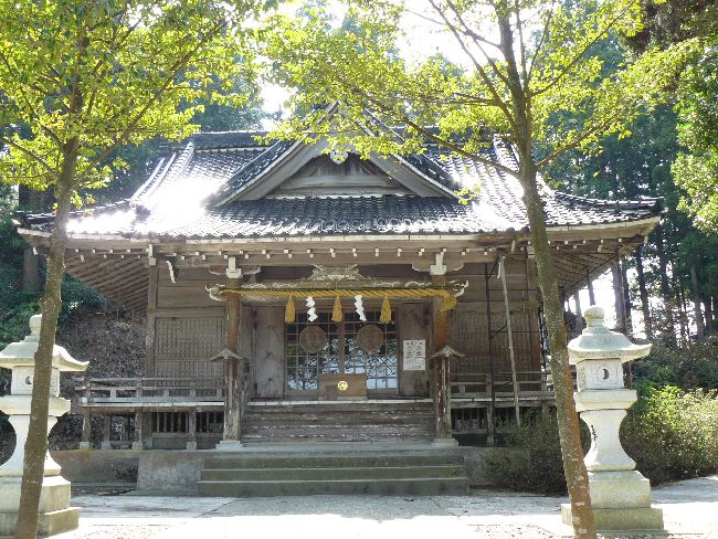 ���g�_��