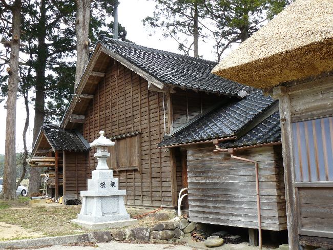 �����_��