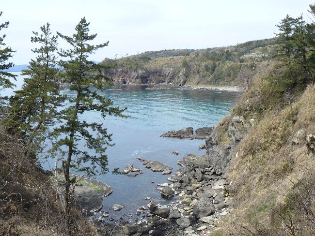 �\�o����