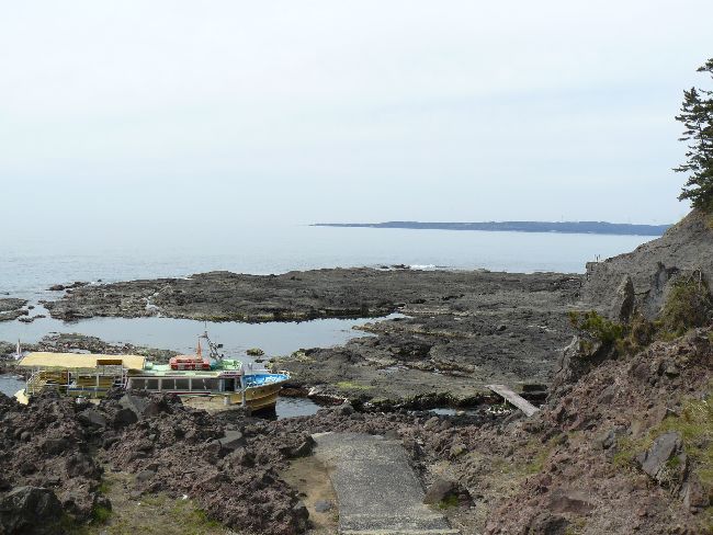 ����~�i�\�o�����j