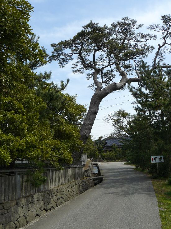 �u�꒬�E���ƏZ��