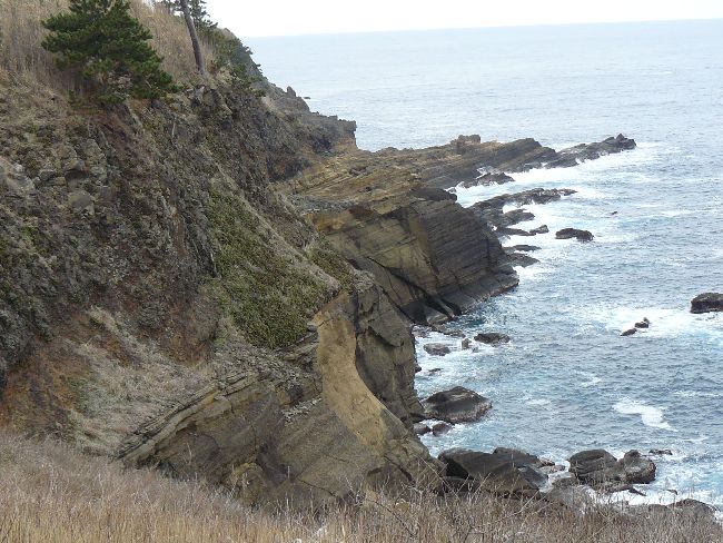 ���Z�̒f�R�i�\�o�����j