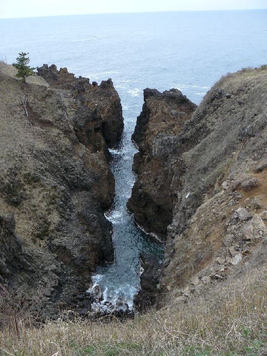 �`�o�̏M�B���i�\�o�����j