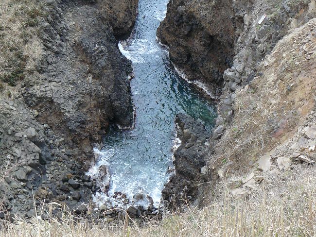 �`�o�̏M�B���i�\�o�����j