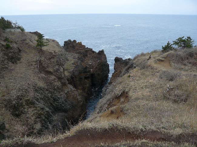 �`�o�̏M�B���i�\�o�����j