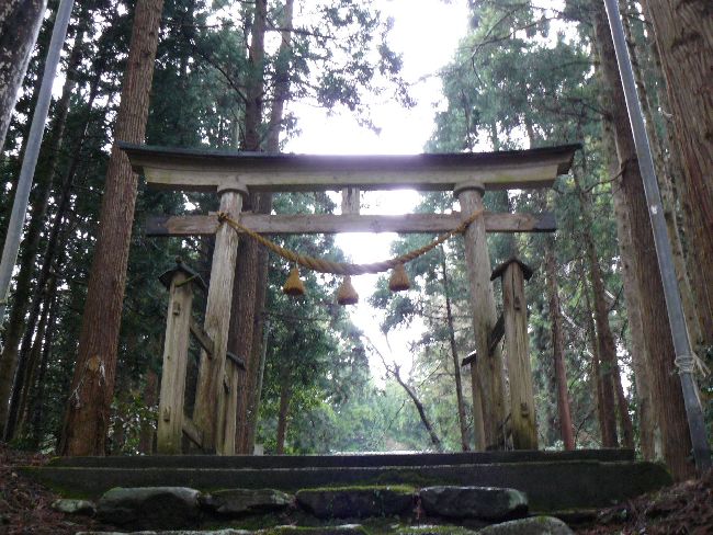 ���R�_��