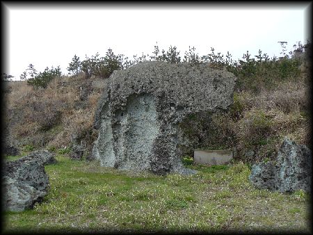 ��������B�e�����摜