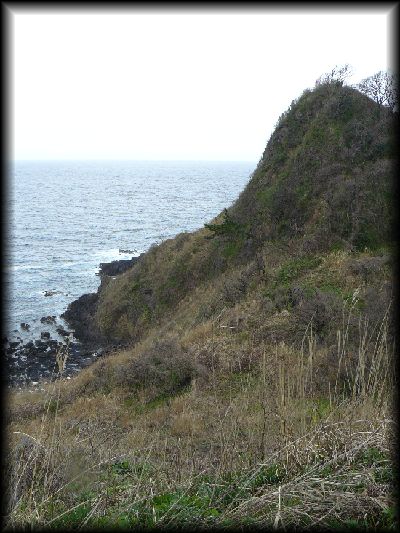 �V���N��