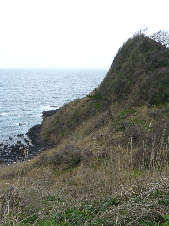 �V���N��