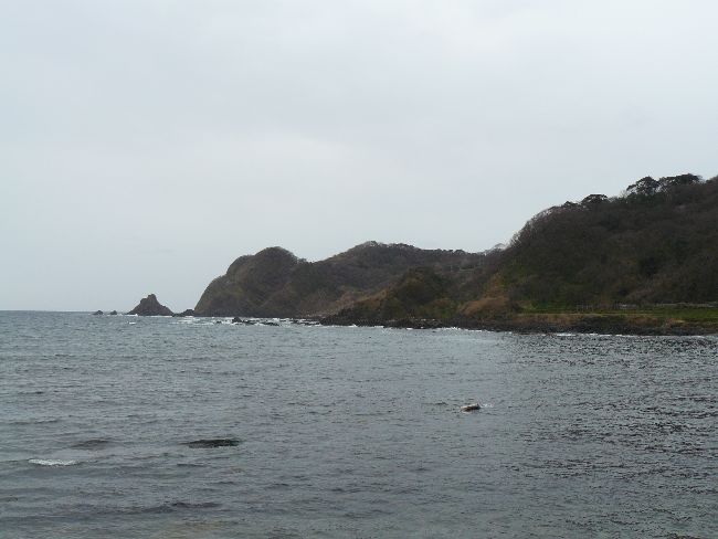 �V���N��