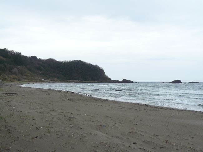 �V���N��