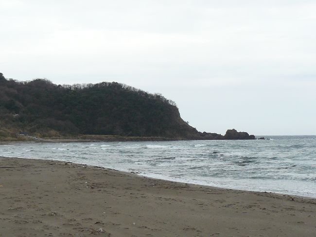 �V���N��