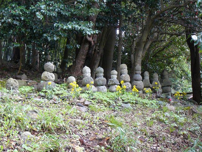 �������ꑰ�̕�