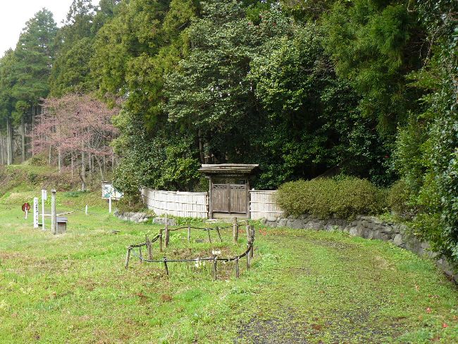 �������ꑰ�̕�