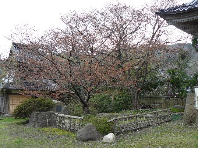 ���ݖ{����