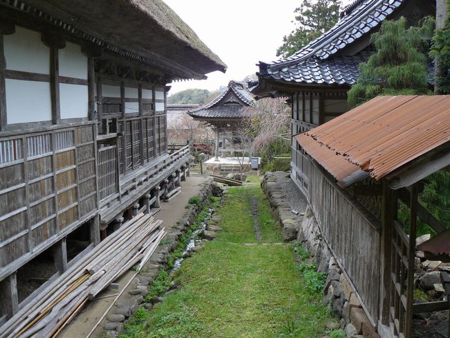 ���ݖ{����