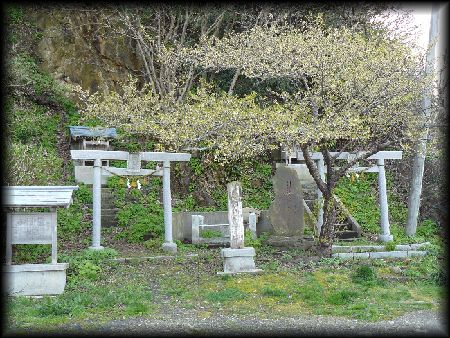 �������ЁE�ٓV��