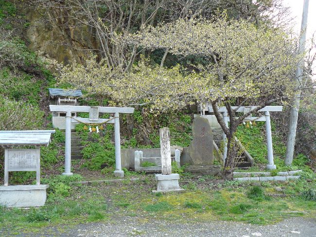 �������ЁE�ٓV��