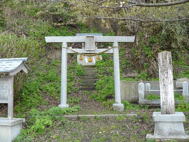 �������ЁE�ٓV��