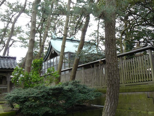 �d���_��