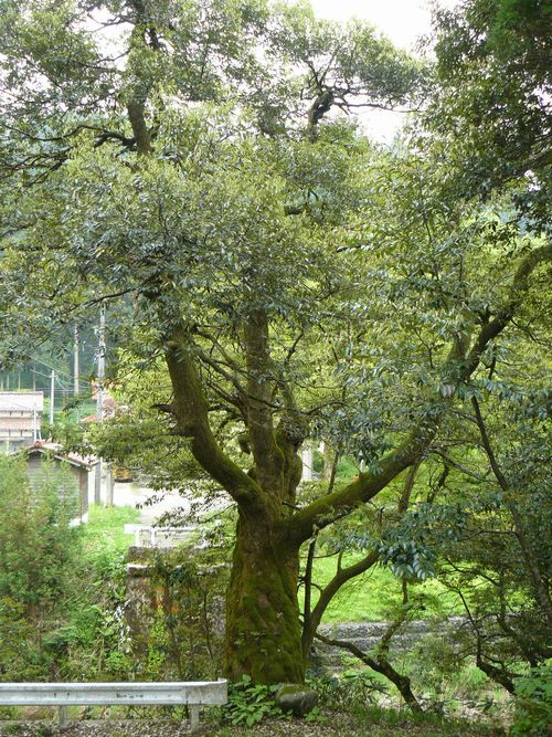 �R������E�r�J�_��