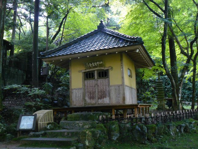 �R������E�m�ԓ�