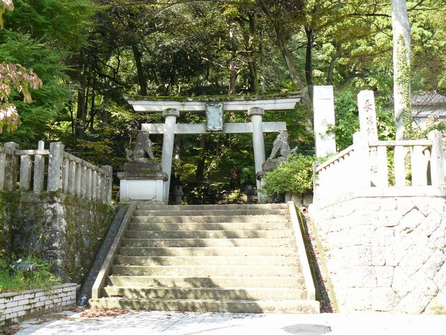 �R������E���J���_��