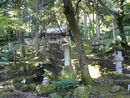 長谷部神社の雰囲気のある苔生した境内