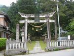 八幡神社の三又杉