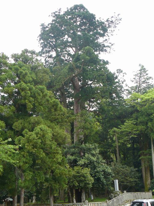 �R������E�����_�Ђ̎O����