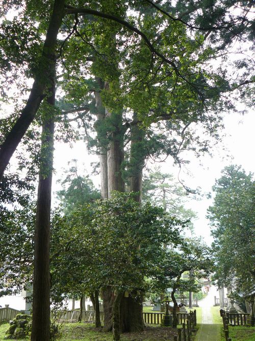 �R������E�����_�Ђ̎O����