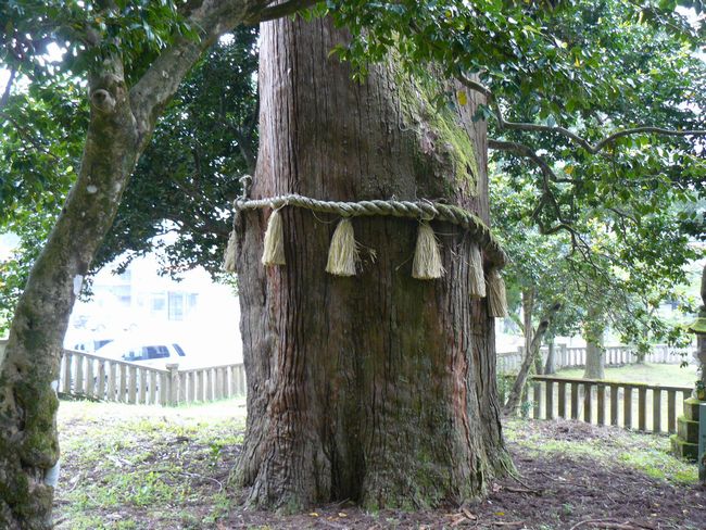 �R������E�����_�Ђ̎O����