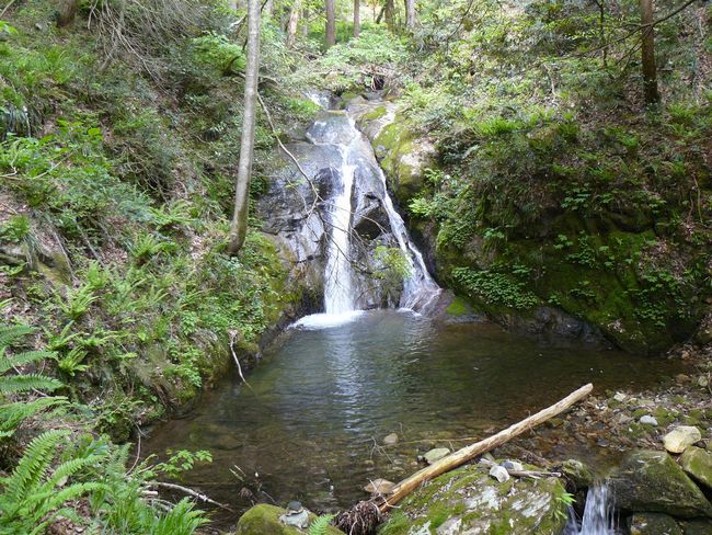 �R������E�_�l�̑�