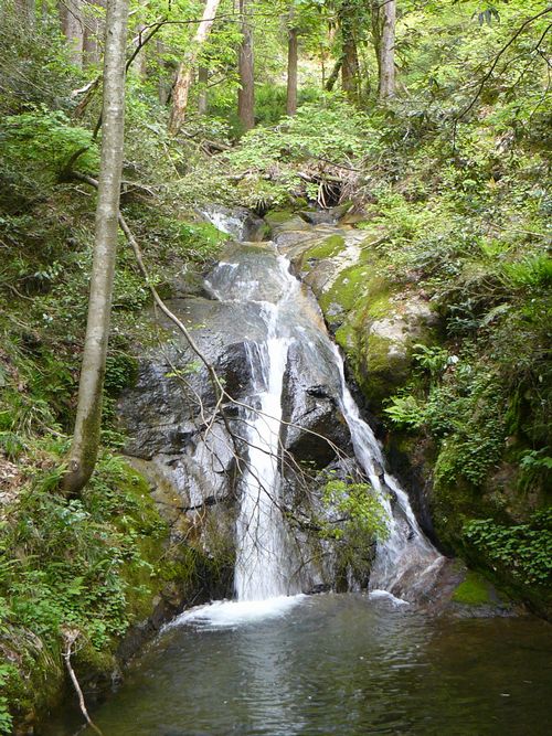 �R������E�_�l�̑�