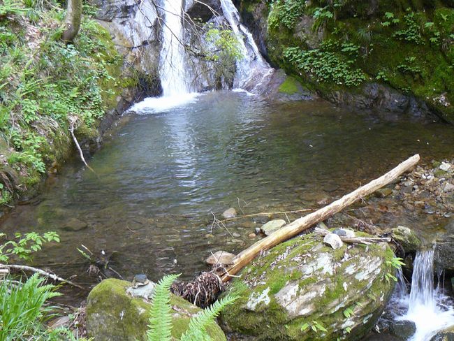 �R������E�_�l�̑�