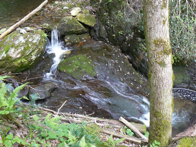 �R������E�_�l�̑�