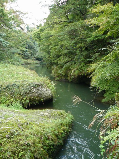 �R������E�ߐ�k