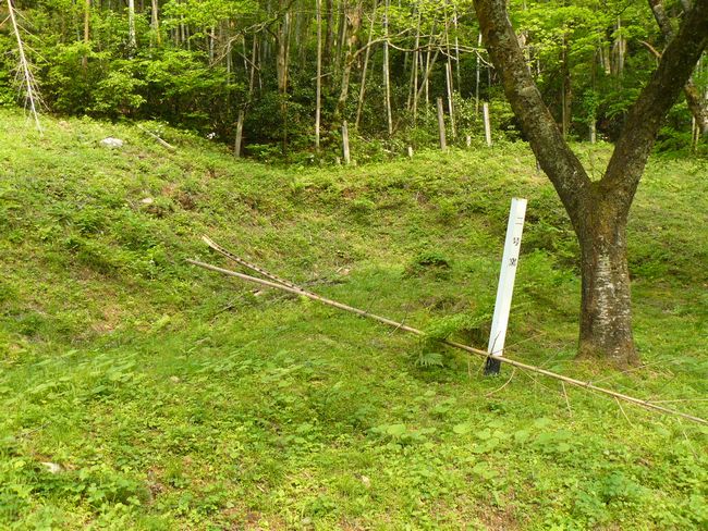 �R������E��J����q��