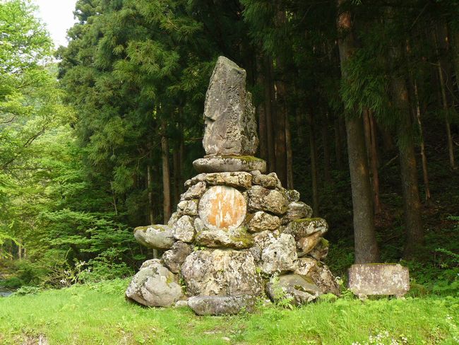 �R������E��J����q��