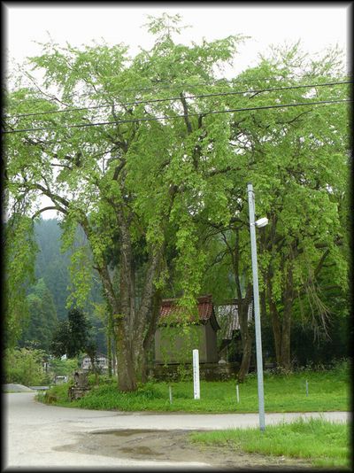 �r�J�_�ЃV�_���U�N���Q