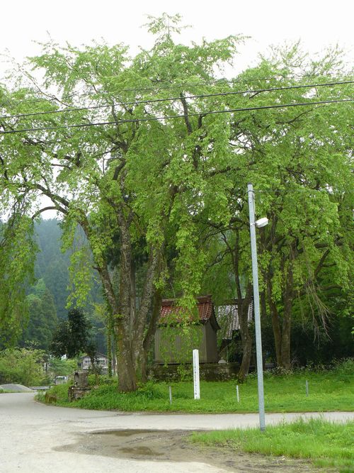 �r�J�_�ЃV�_���U�N���Q