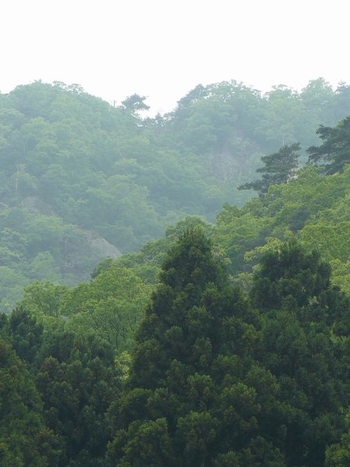 �R������E�V���