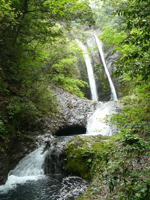 �R������E�߃P��